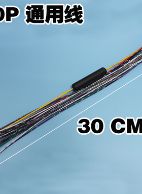 DSP数字功放处理器0号通用线汽车音响改装线原装纯铜线30CM+保险