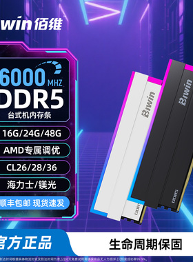 佰维ddr5台式机内存条32g(16g×2) 6000DW100时空行者rgb灯条CL28