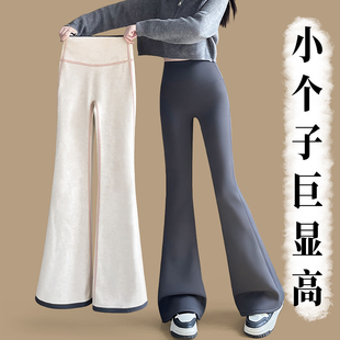 150cm小个子微喇鲨鱼裤 秋冬加绒女外穿145高腰显瘦运动瑜伽休闲裤