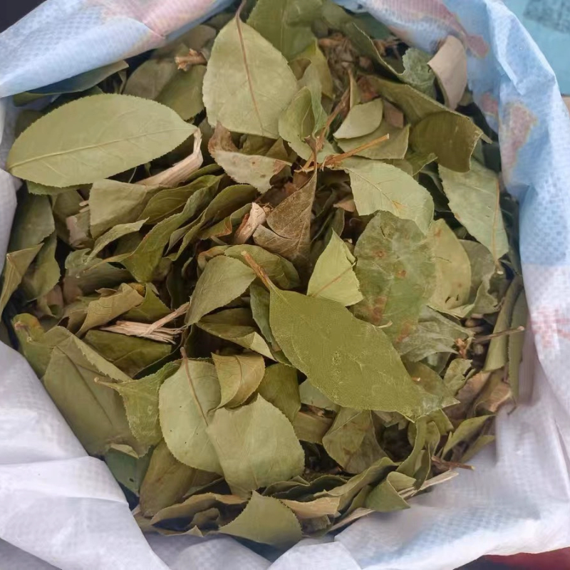 大茶叶江山野生粗茶干货去暑茶凉茶叶清凉茶灵香草仙草
