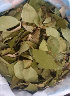 大茶叶江山野生粗茶干货去暑茶凉茶叶清凉茶灵香草仙草