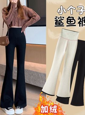 微喇鲨鱼裤女外穿秋冬2026新款高腰显瘦紧身黑色健身瑜伽喇叭裤子