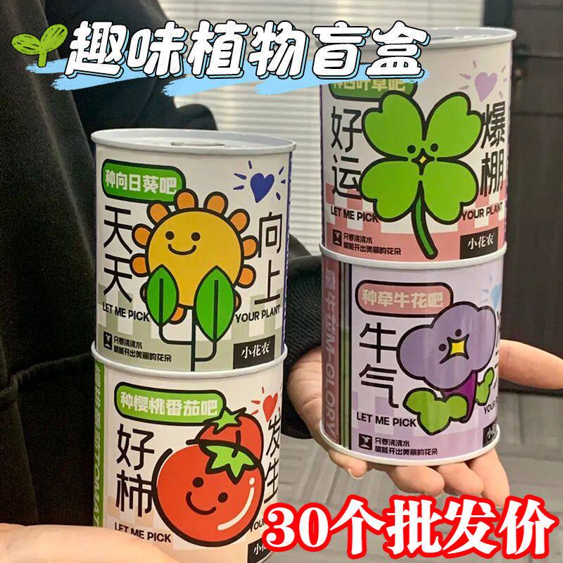 创意易拉罐小盆栽儿童种