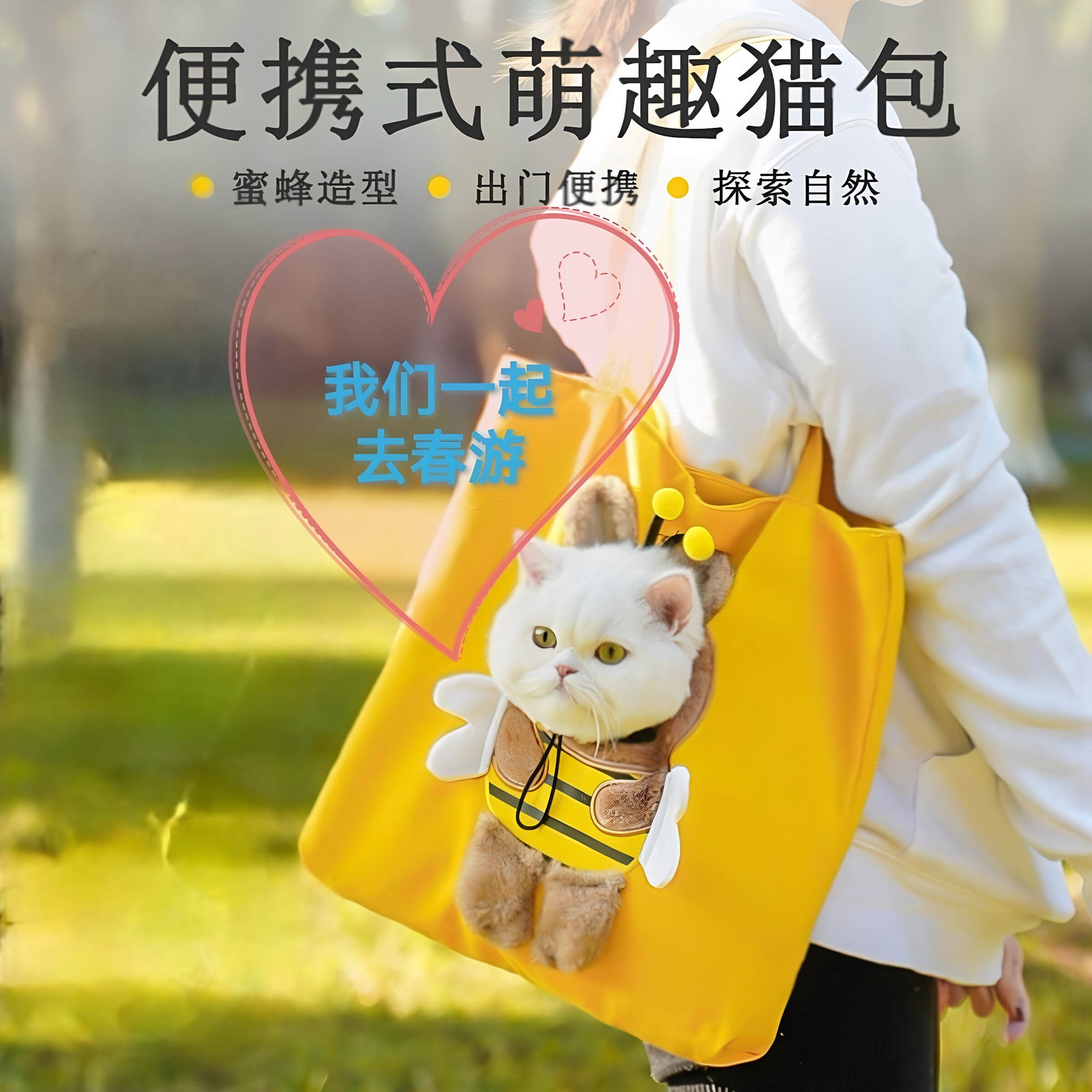 宠物小猫外出便携猫咪包