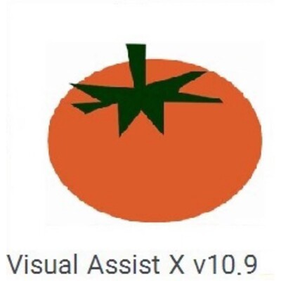 番茄助手 Visual Assist 10.9.2451 编程助手VAX 支持vs2010~2022