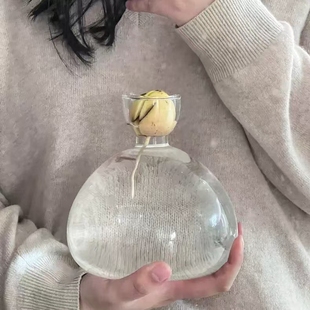 牛油果水培花瓶牛油果核种子种植养成专用花瓶容器器皿大号园艺