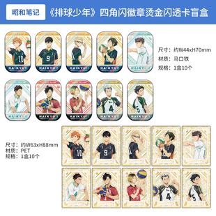 日本正版 排球少年 四角闪徽章吧唧 烫金闪透卡盲盒 周边谷子
