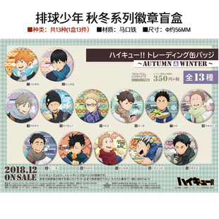 周边谷子 排球少年旧秋冬徽章吧唧盲盒 有货SOL International正版