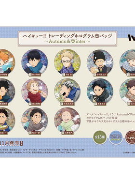 有货 排球少年 Autumn Winter 旧秋冬 闪徽章吧唧盲盒