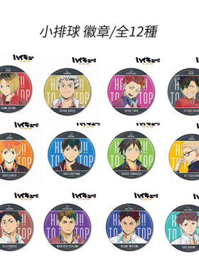 有货日本正版 排球少年 TO THE TOP Ani-Art艺术风 徽章吧唧 周边
