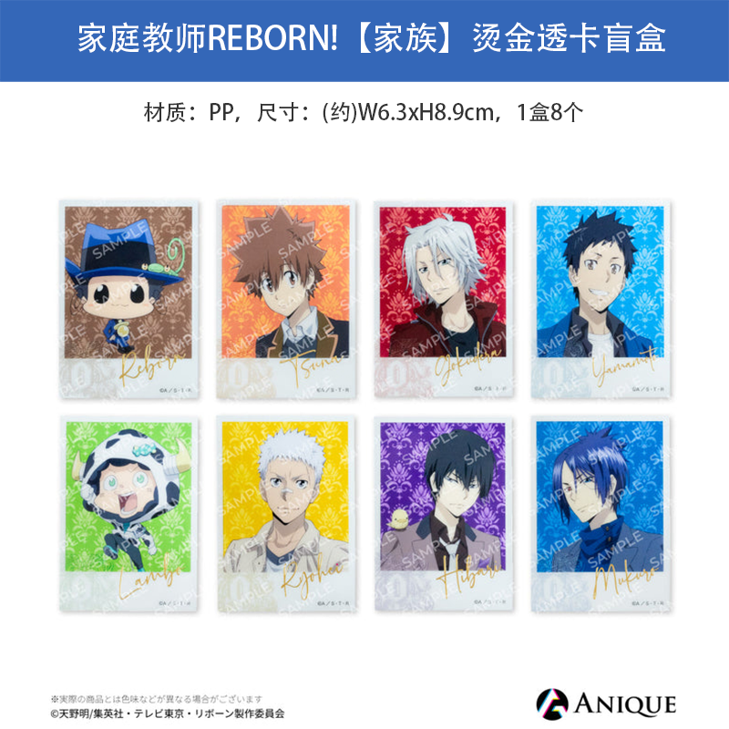 日本正版 家庭教师REBORN!家族 烫金透卡盲盒 周边谷子