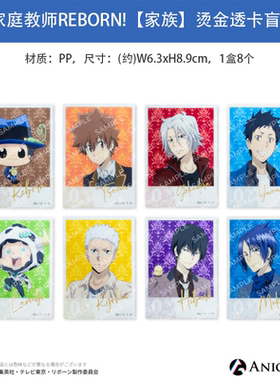 日本正版 家庭教师REBORN!家族 烫金透卡盲盒 周边谷子
