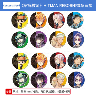 日本正版 家庭教师HITMAN REBORN! 新水彩吧唧徽章盲盒 周边谷子