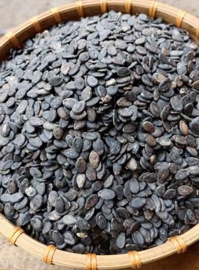 湖北广水大悟特产熟打瓜子小铁瓜子吊瓜子椒盐口味打瓜子黑红两种