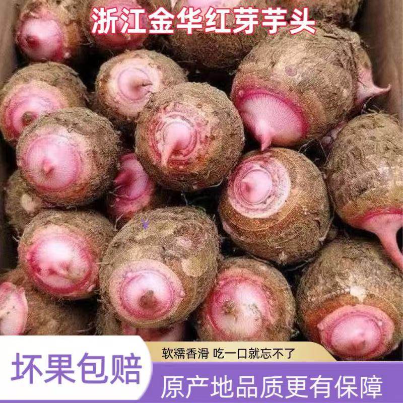 正宗浙江红芽芋头新鲜现挖当季香芋农家自种红芽芋蔬菜批发香糯香,水产肉类/新鲜蔬果/熟食,芋头,淘宝优惠券,粉丝福利购,淘宝优惠卷