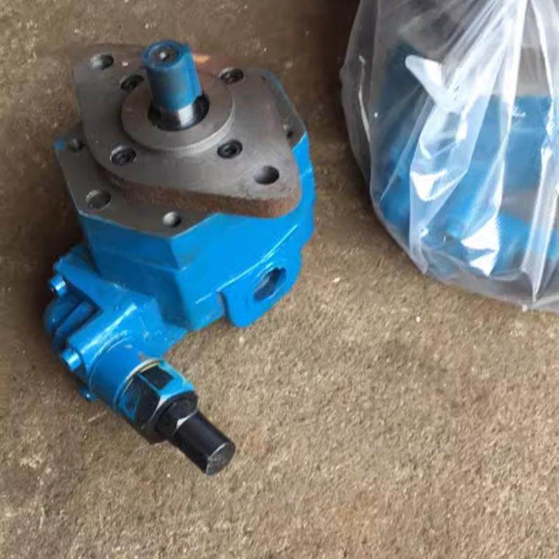 新款凯利摆线齿轮油泵BB-B40/BB-B50/BB-B63/BB-B80/BB-B100/包邮