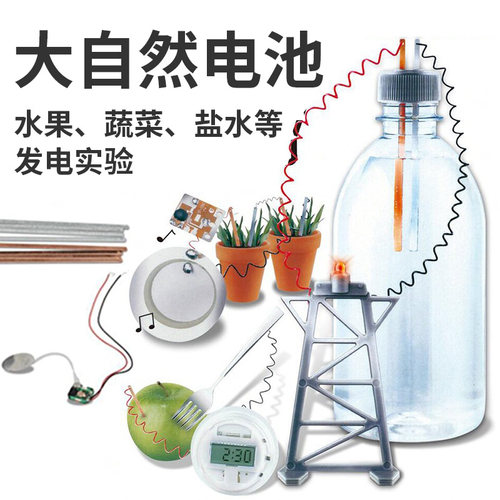 大自然电池盐水士豆水果发电玩具