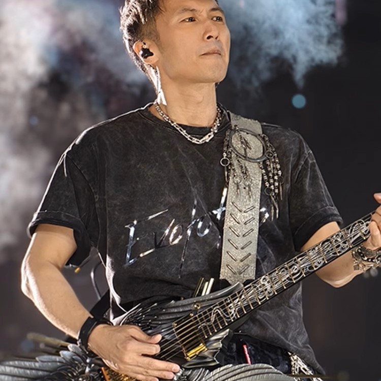 谢霆锋2025演唱会同款周边反光短袖T恤水洗黑重磅纯棉男女上衣服