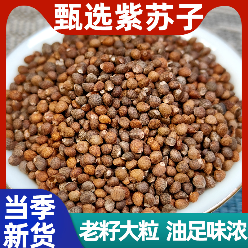 紫苏籽野生食用正品正品紫苏子