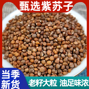 紫苏籽中药材500g正品紫苏子食用炒熟紫苏籽粉紫苏粉烧烤调料撒料