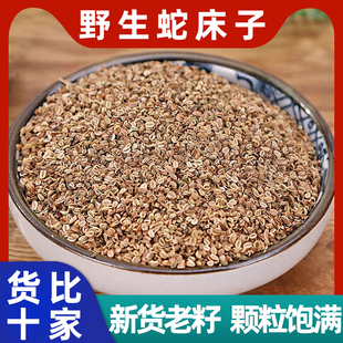 野生蛇床子中药材500g克新货蛇床子泡茶水蛇米蛇珠蛇粟五倍子打粉