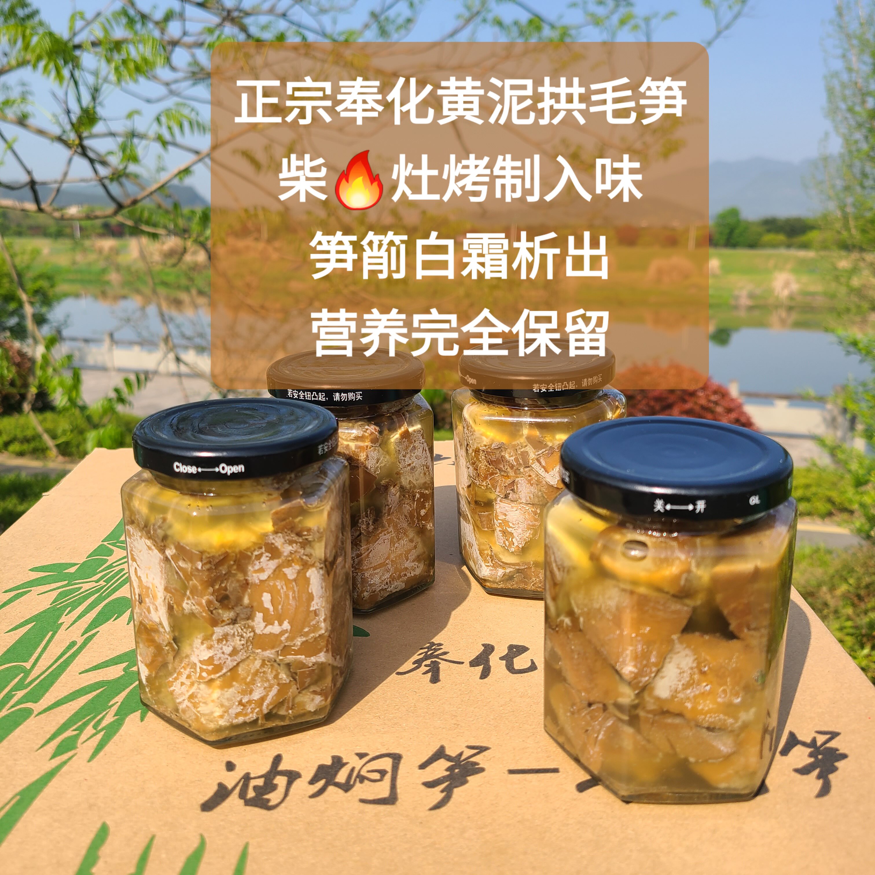 奉化毛笋油焖笋特产即食下饭菜高山野山竹笋土灶烤笋2026年新春笋