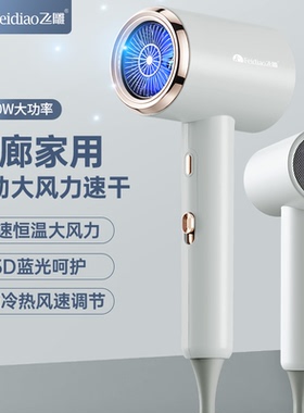 飞雕吹风机家用大功率发廊理发店电风筒吹头发速干蓝光负离子护发