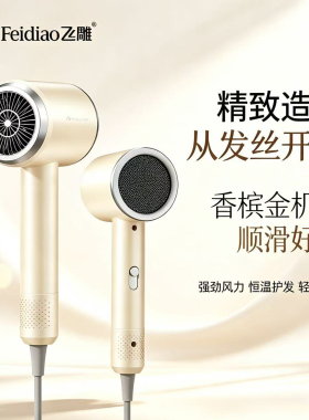 飞雕吹风机家用大功率负离子高速大风力发廊理发店电吹风筒负离子