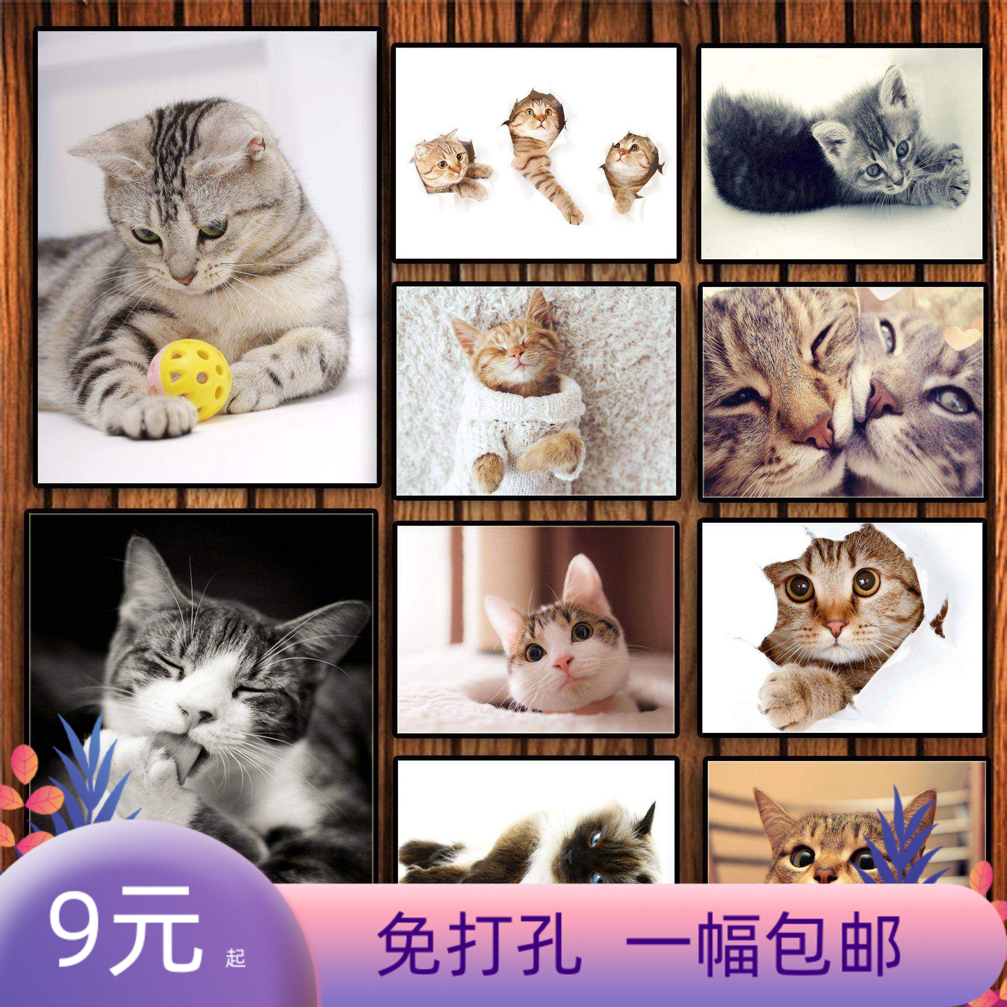 新品个性猫咪喵星人儿童房装饰画客厅卧室壁画宠物店挂画海报图片