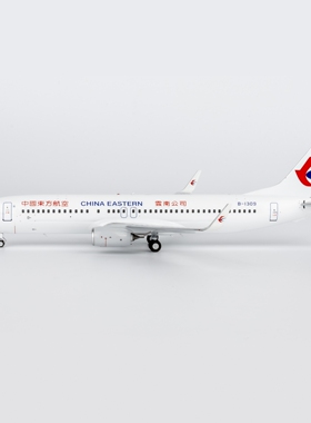 NG 中国东方航空 737-800/w B-1309/B-206S 合金航模1:200 共2款