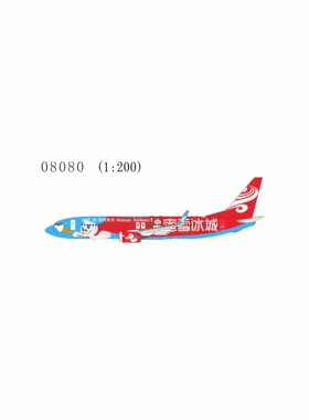 预售：NG 1:200  海南航空 737-800/w B-1131/B-1141