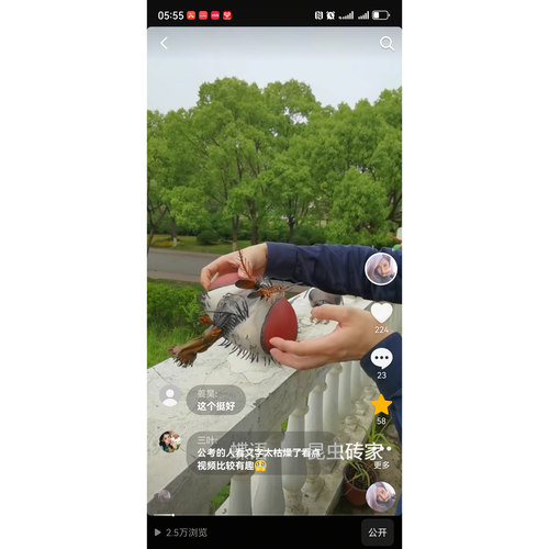 昆虫口器模型科普教育教具