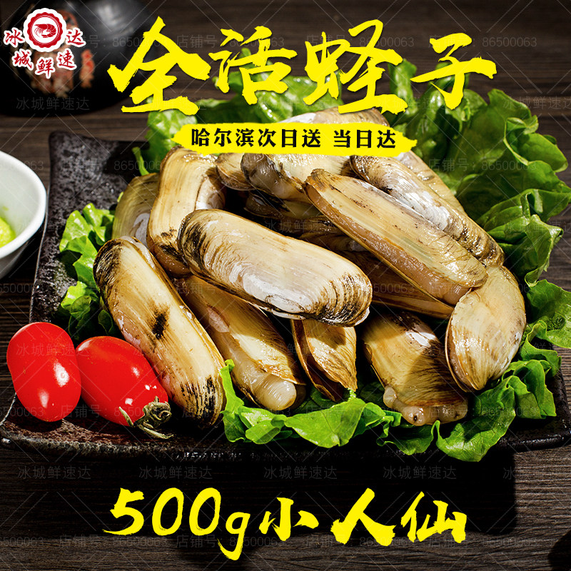 哈尔滨直发鲜活蛏子无沙野生贝壳类海鲜活全活小人仙干净500g