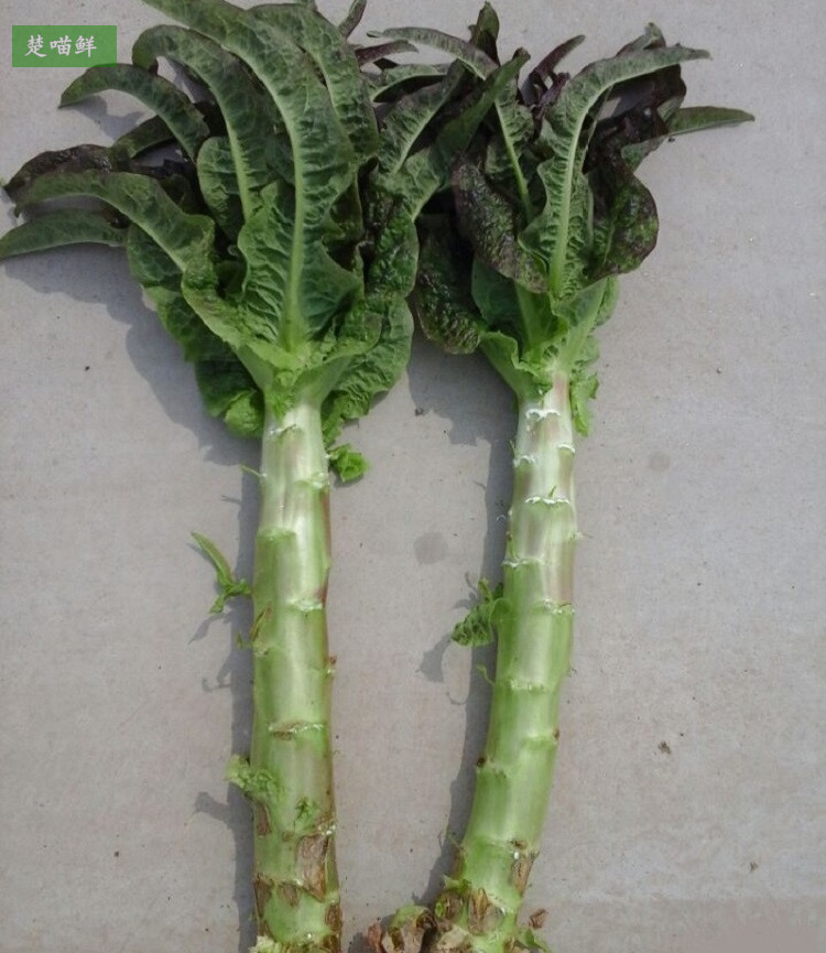 5斤装 新鲜紫叶莴苣香莴笋农家现挖蔬菜湖北特产南方青笋尖嫩叶子
