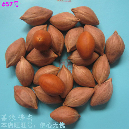 55颗广东橄榄核雕机器猫手串diy