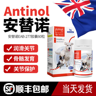新西兰进口安替诺Antinol安它诺安适得软骨素狗猫髌骨脱位关节