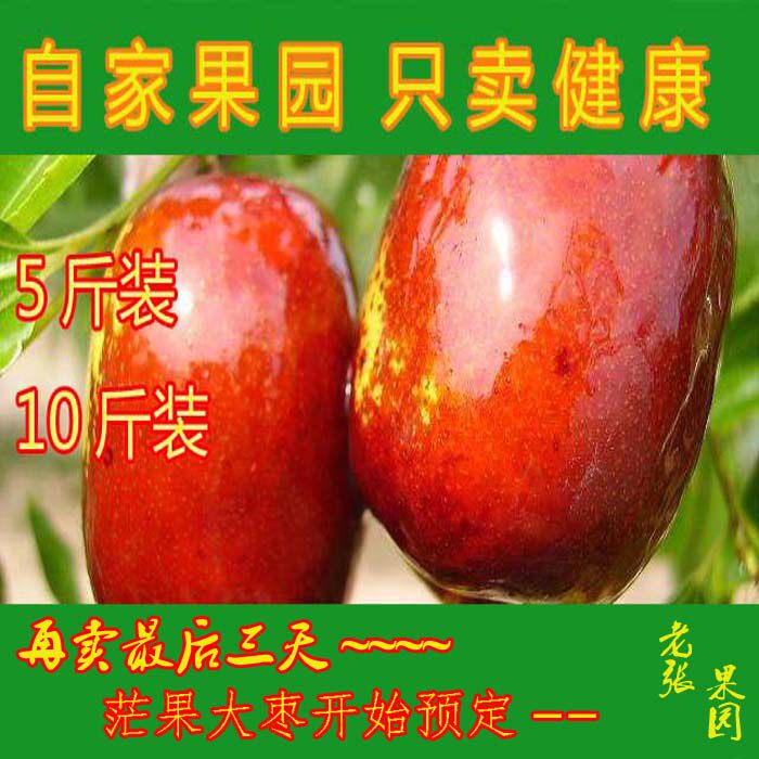 【新鲜采摘】可以蒸着吃的红枣正枣
