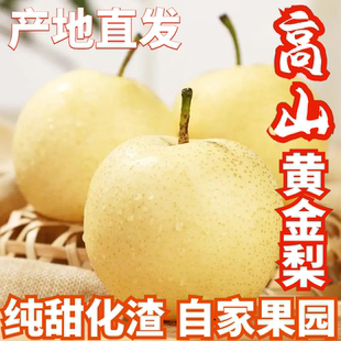 四川翠冠梨黄金梨苍溪特产新鲜水果雪梨水晶梨皇冠梨纯甜大果包邮
