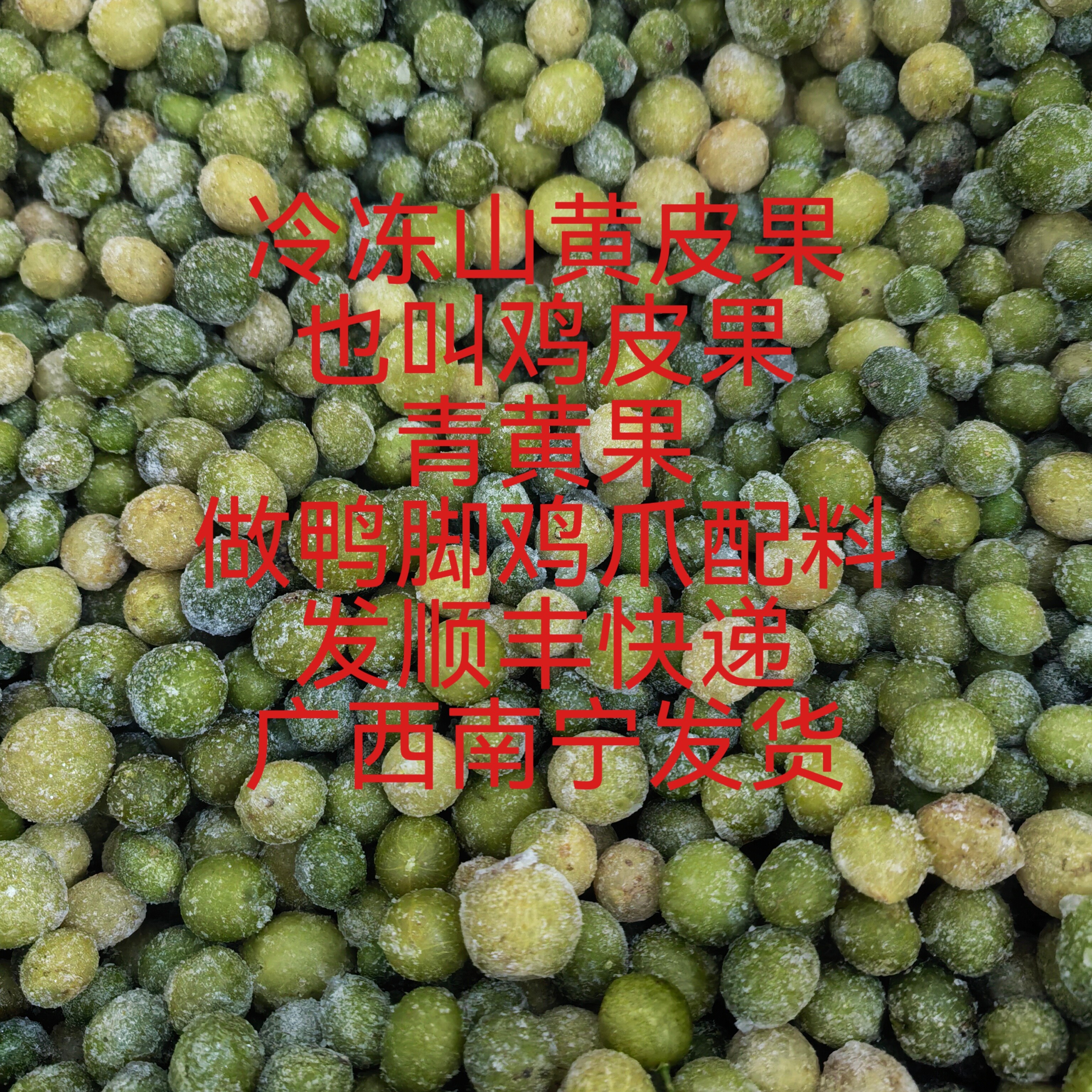 广西山黄皮果鸡皮果青果冰冻果做配料香料去腥做凉拌鸭脚烧烤酱