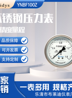 Breidys中文面板YNBF100Z不锈钢轴向耐震压力表高精度