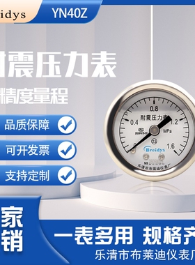 中文面板YN40Z轴向耐震压力表高精度气动表液压表水压表