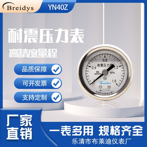 YN40Z轴向耐震压力表高精度