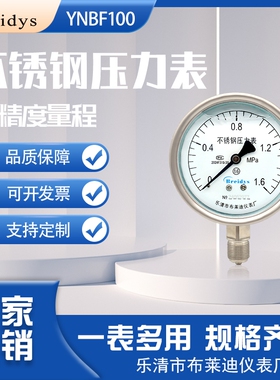 中文面板Breidys中文面板YNBF100不锈钢耐震压力表高精度水压气压