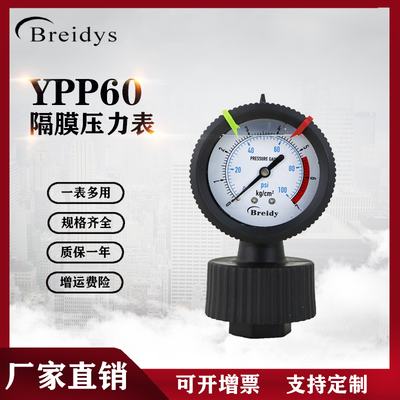 Breidys温州PP材质全塑压力表