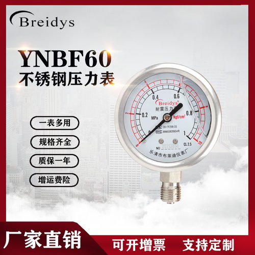 Breidys全不锈钢压力表