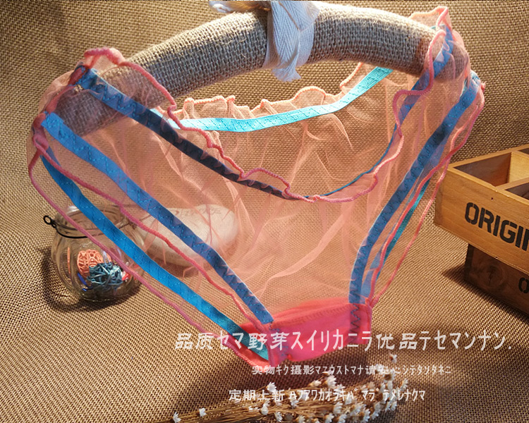 女士透明网纱性感三角内裤保密发