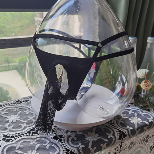 U凸性感透视男士丁字内裤T裤包邮