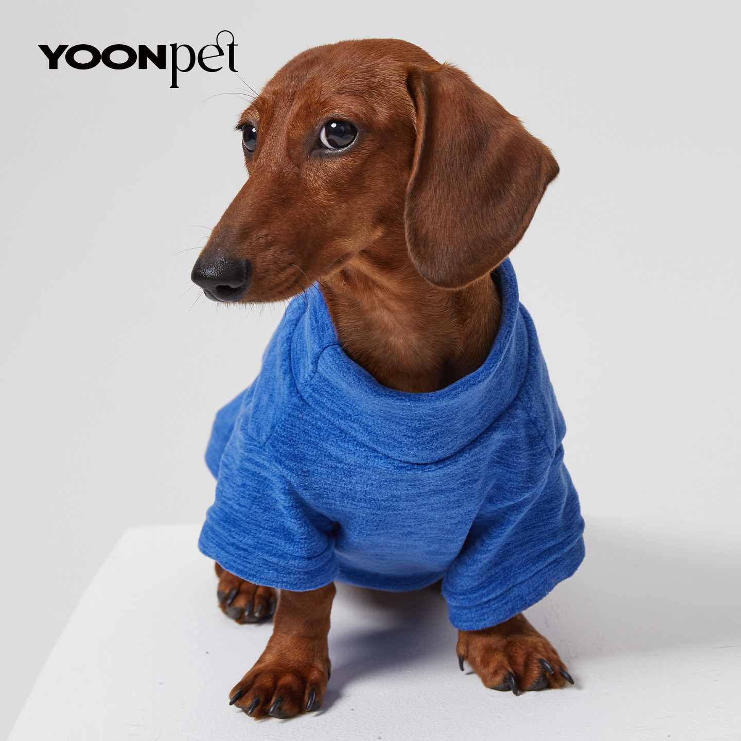 狗狗猫咪宠物加绒打底衫外穿衣服