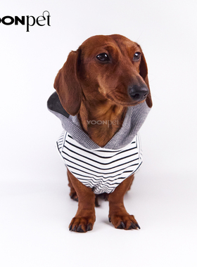 宠物狗狗猫咪衣服小型犬西瓜无袖针织帽衫腊肠迷你杜宾比熊背心