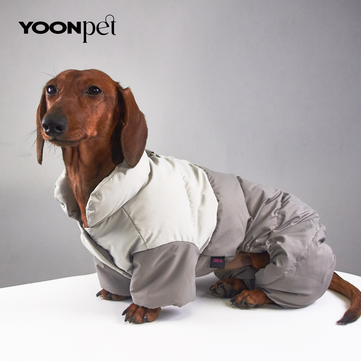 狗狗猫咪宠物石墨烯防风防雪保暖棉衣腊肠约克夏比熊博美雪纳瑞,宠物/宠物食品及用品,狗宠物服装/雨衣,淘宝优惠券,粉丝福利购,淘宝优惠卷